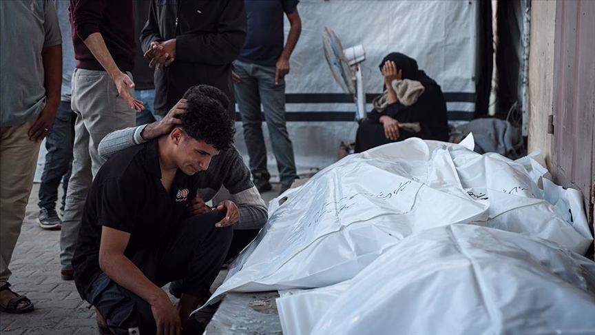 thumbs_b_c_8d56461276c6ac7cf90379dc3fab8d89