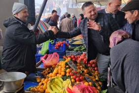 594036574_795522090157785_5382748587937178651_n