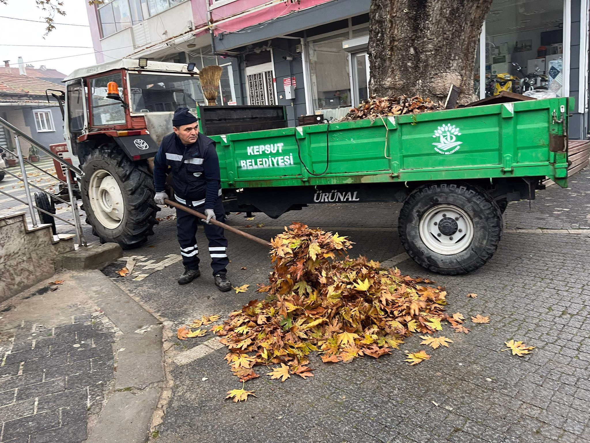 602494486_1186741600325502_4739242001185825409_n