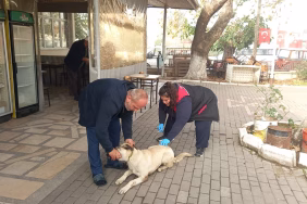 603083729_1270893381748188_803884179716196685_n