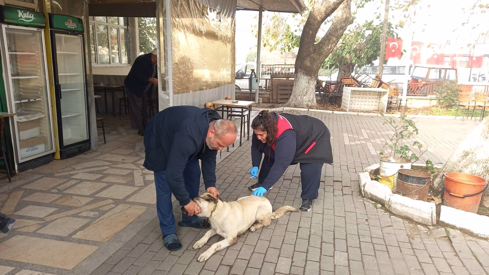 603083729_1270893381748188_803884179716196685_n