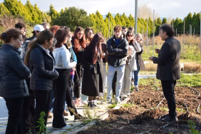 WhatsApp Image 2025-12-24 at 14.08.33 (1)