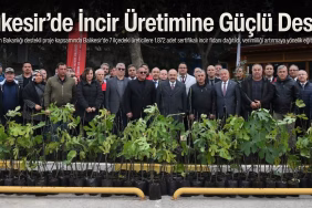 balıkesir incir (1)