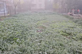 Balıkesir'de sis ve soğuk hava etkili oldu