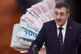 cumhurbaskani-yardimcisi-yilmaz-vatandaslik-19337357_4687_amp