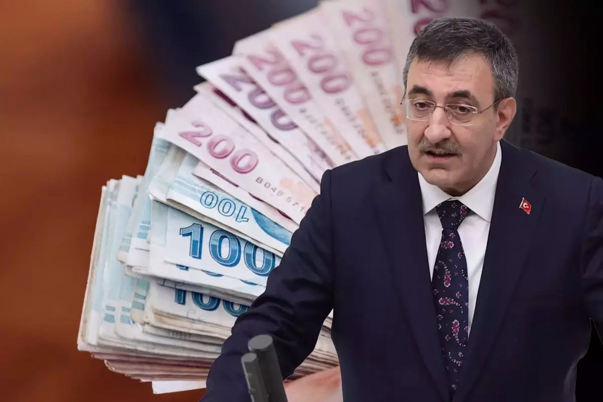 cumhurbaskani-yardimcisi-yilmaz-vatandaslik-19337357_4687_amp