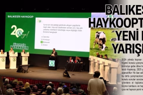 haykoop (1)