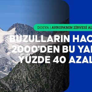 thumbs_b_c_5f55c47b5b7ddbdd2e382d8cbf590756