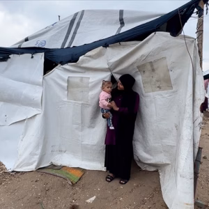 thumbs_b_c_628aa50b280632cbf4831b170dce9190