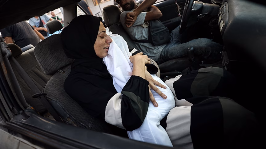 thumbs_b_c_66fede3b450cb79a7b967cd88b4fcdc4