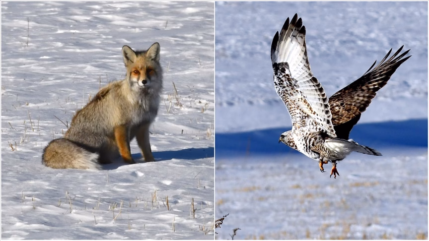 thumbs_b_c_81ed0a084c70dc0482041c4840fe52cd