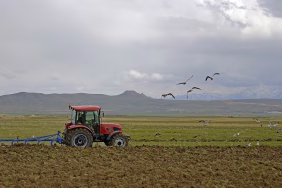 thumbs_b_c_961db8d215c8ab588c342da3d091b650