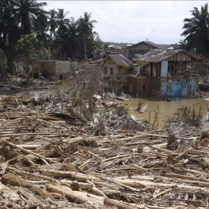 thumbs_b_c_9ef347bdc9b695825ba0a92fa76cb586