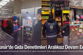 balıkesir gıda denetim (1)