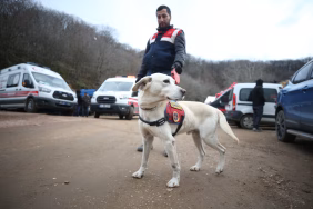 Balıkesir'de kaybolan kadın için başlatılan arama çalışması sürüyor