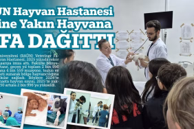 baün hayvan hastanesi (1)