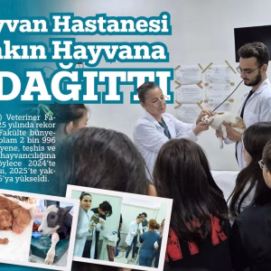 baün hayvan hastanesi (1)