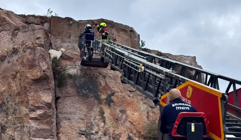 WhatsApp Image 2026-03-21 at 20.01.04 (1)