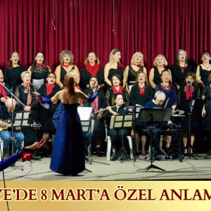 burhaniye konser (3)