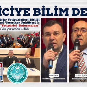 balıkesir damızlık sığır yetiştiricileri balya (1)