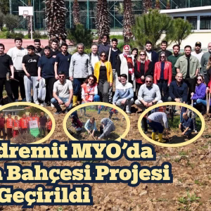 baün edremit lavanta (1)