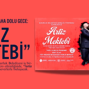artiz mektebi (1)
