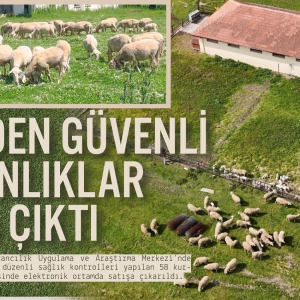 baün kurbanlık (1)