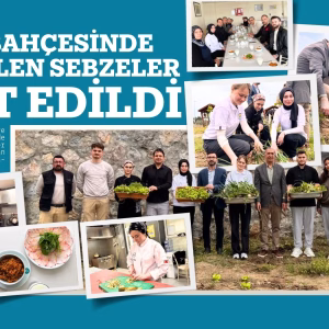 bubfa sebze (1)