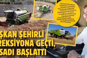 altıeylül hasat (1)