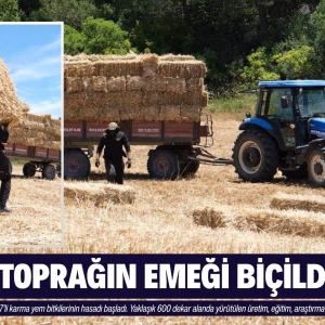 baün toprak (1)