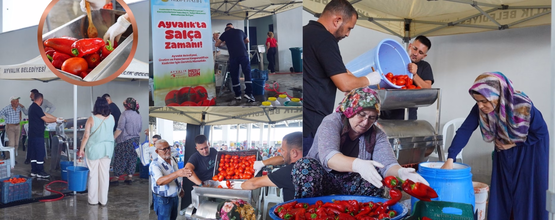AYVALIK’TA SALÇA ZAMANI