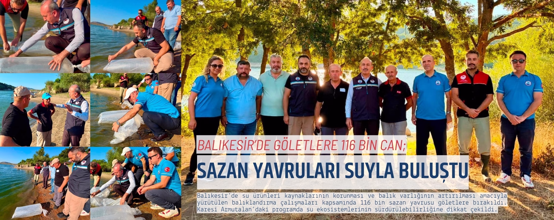 BALIKESİR’DE GÖLETLERE 116 BİN CAN; SAZAN YAVRULARI SUYLA BULUŞTU