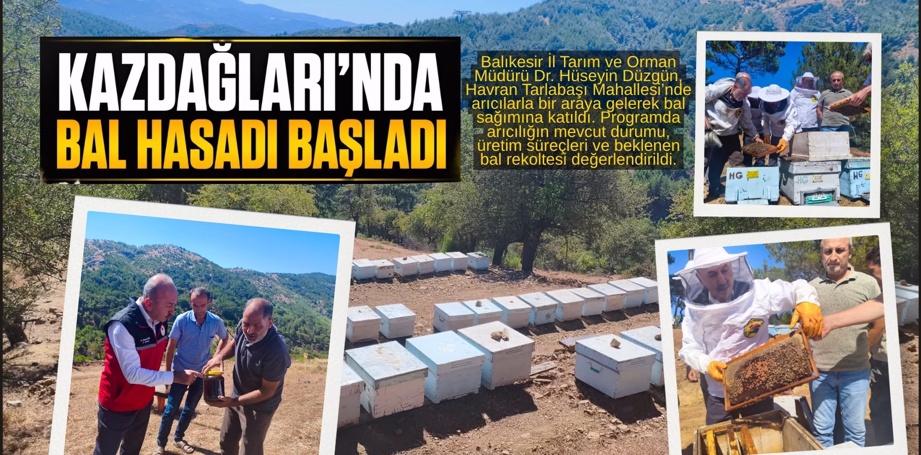 KAZ DAĞLARI BAL (1)