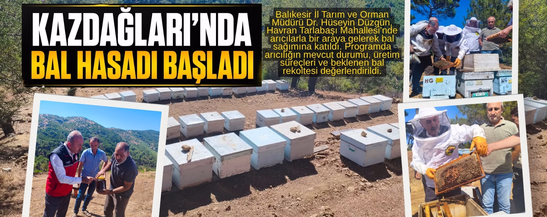 KAZDAĞLARI’NDA BAL HASADI BAŞLADI     