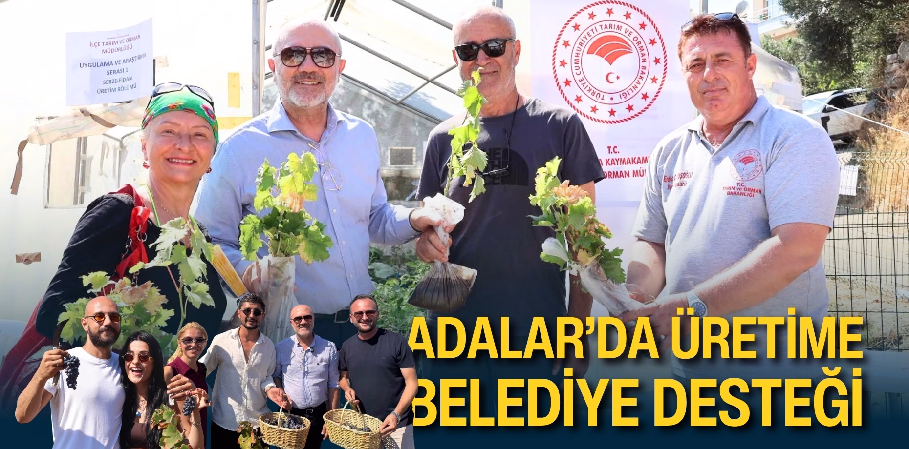 adalar üretime destek (1)