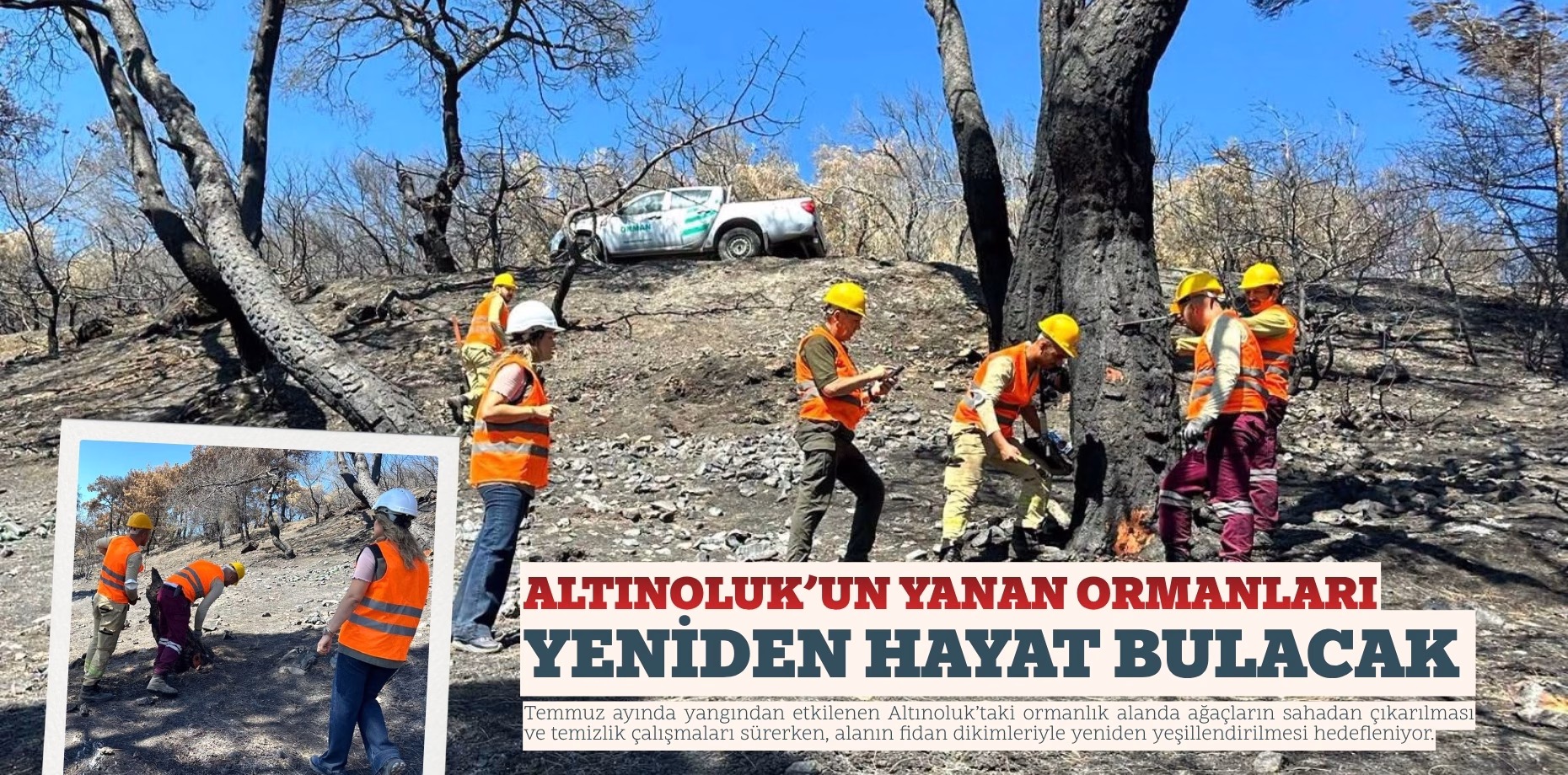 altıoluk orman (1)