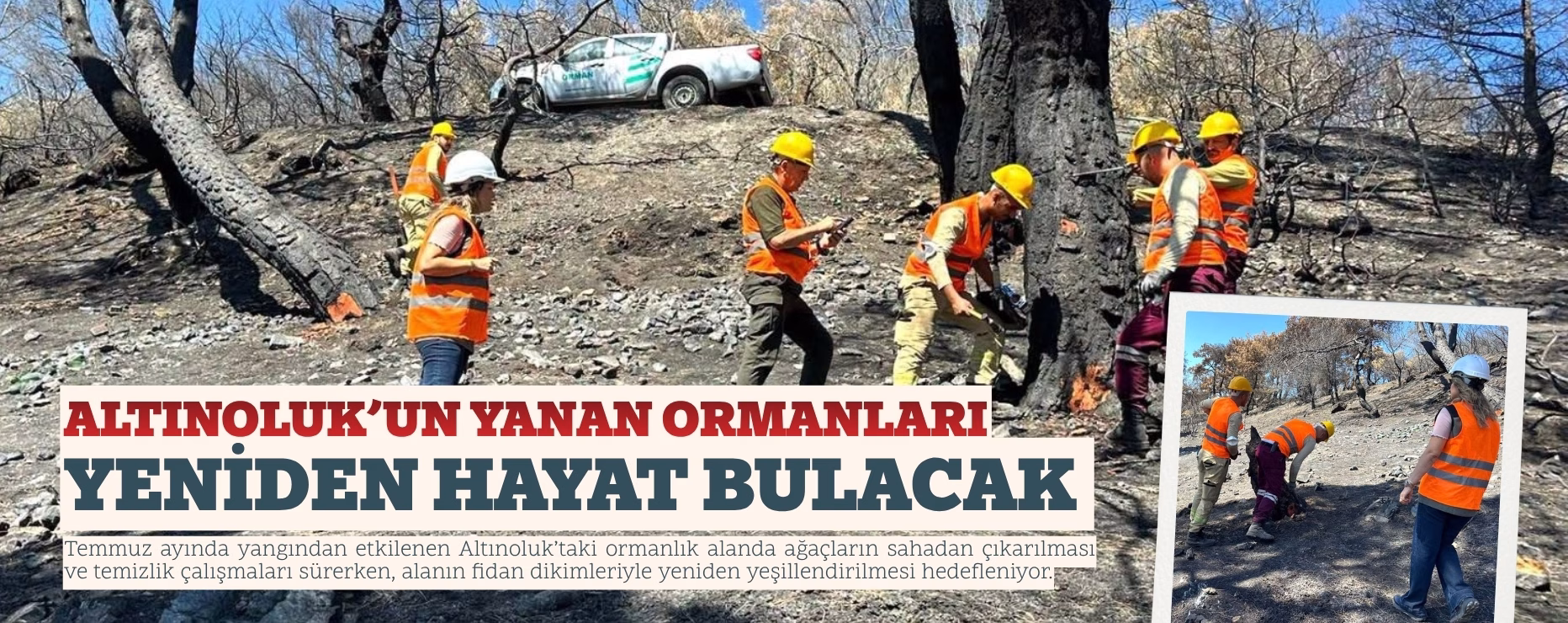 ALTINOLUK’UN YANAN ORMANLARI YENİDEN HAYAT BULACAK 