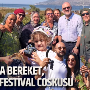 marmara bağ bozumu (1)