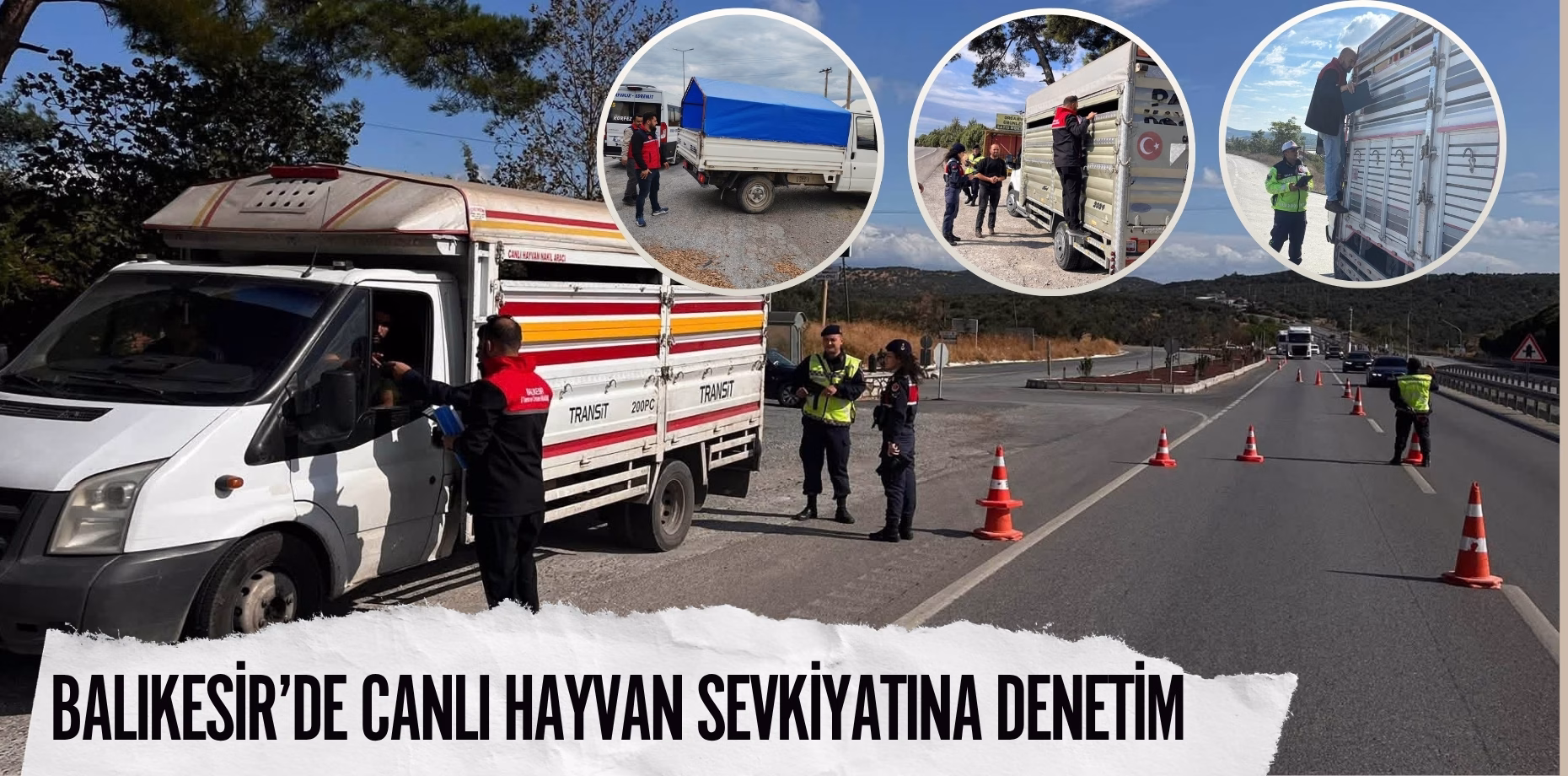 balıkesir canlı hayvan denetim (1)