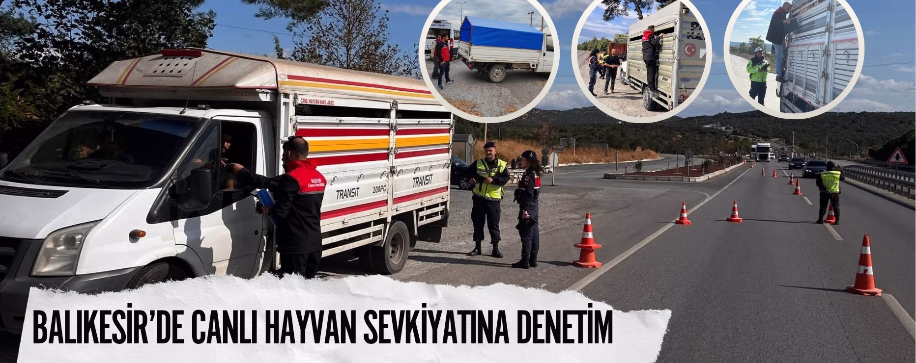 BALIKESİR’DE CANLI HAYVAN SEVKİYATINA DENETİM
