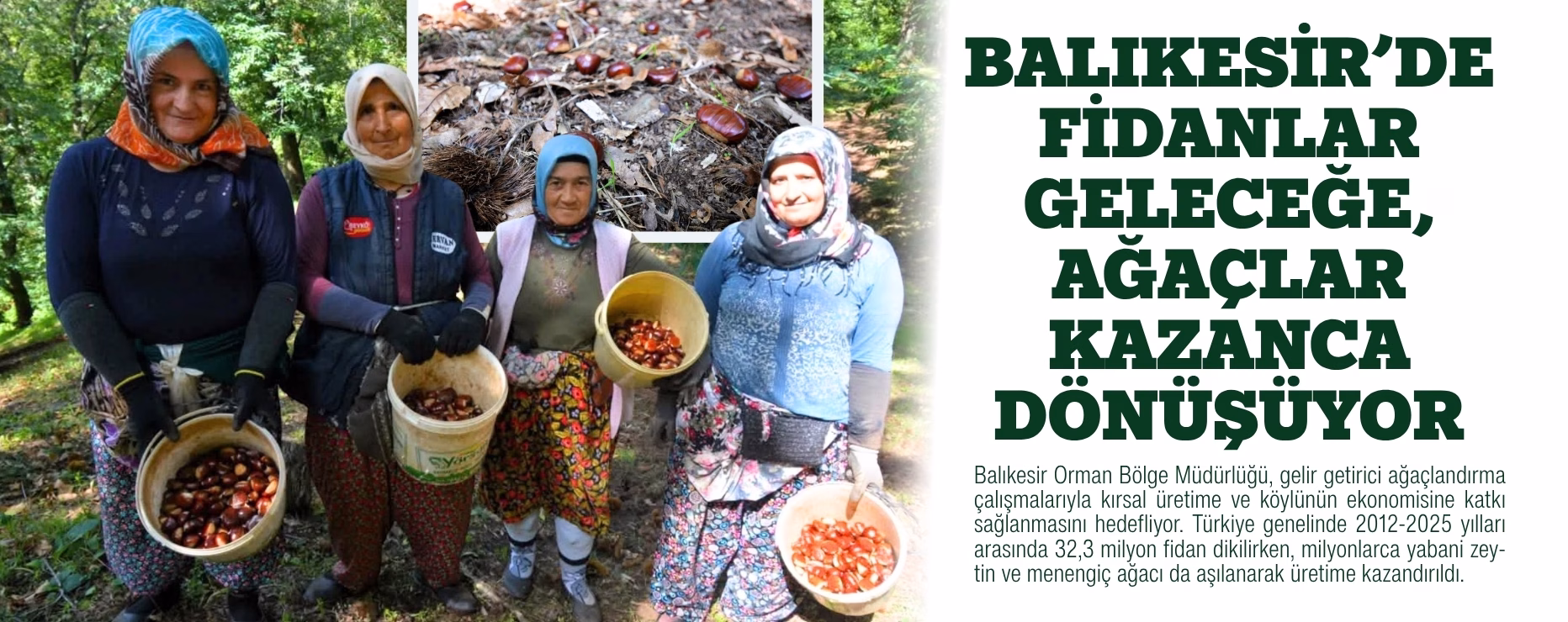 BALIKESİR’DE FİDANLAR GELECEĞE, AĞAÇLAR KAZANCA DÖNÜŞÜYOR