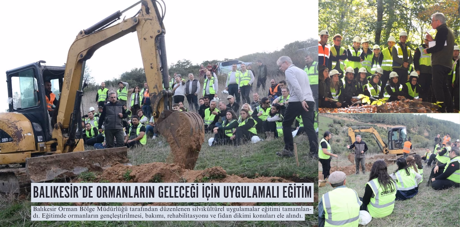 balıkesir orman (1)