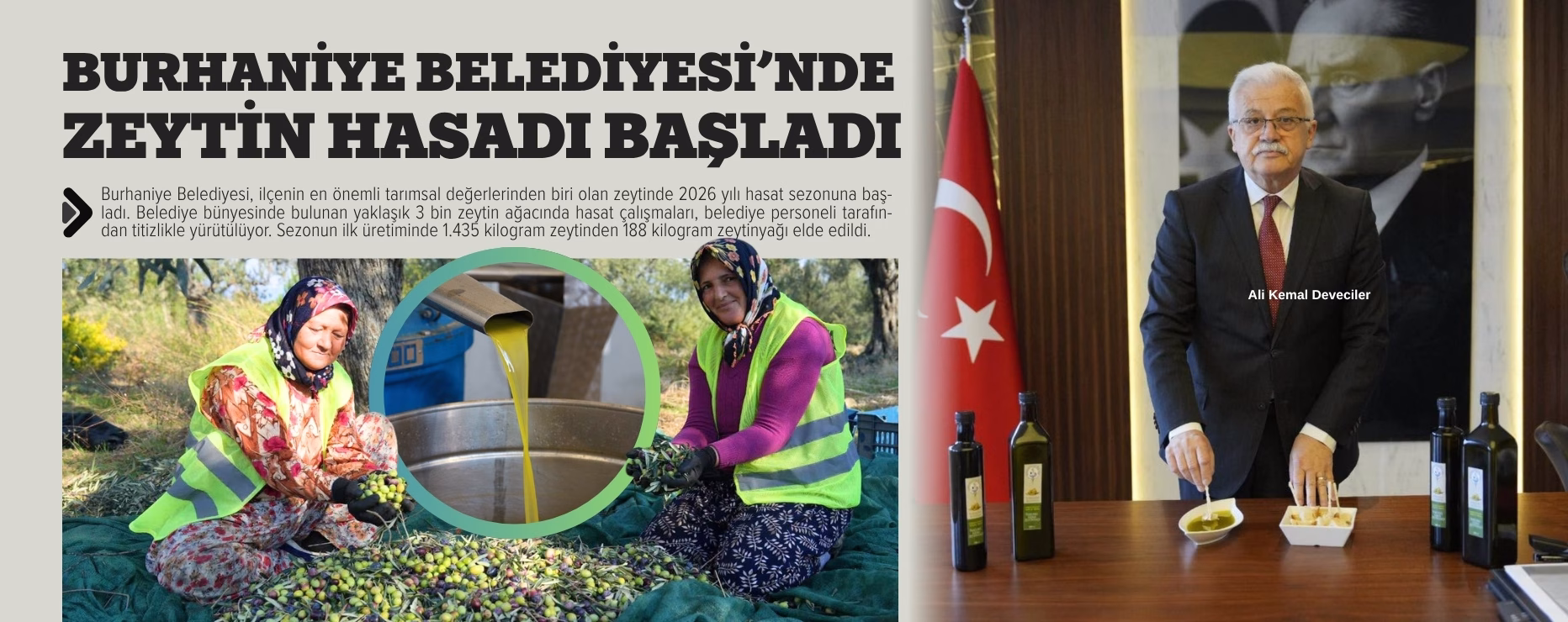 BURHANİYE BELEDİYESİ’NDE ZEYTİN HASADI BAŞLADI