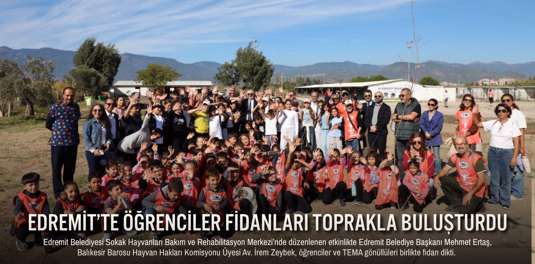 edremit fidan (1)