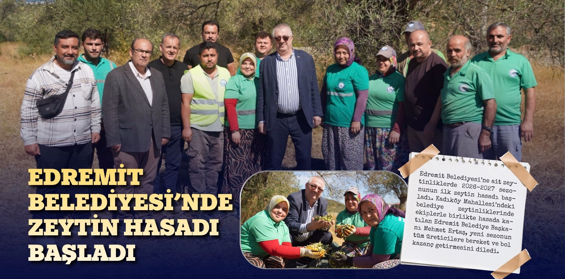 edremit zeytin hasat (1)