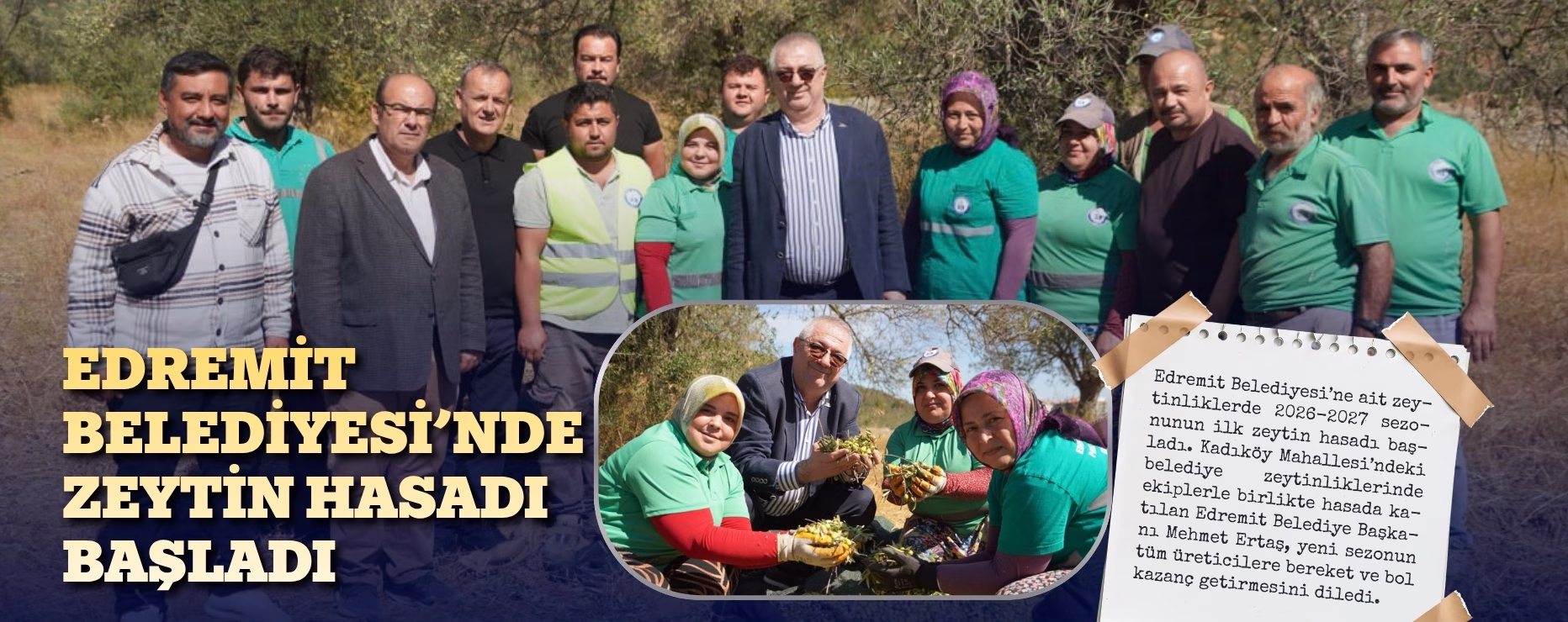 EDREMİT BELEDİYESİ’NDE ZEYTİN HASADI BAŞLADI