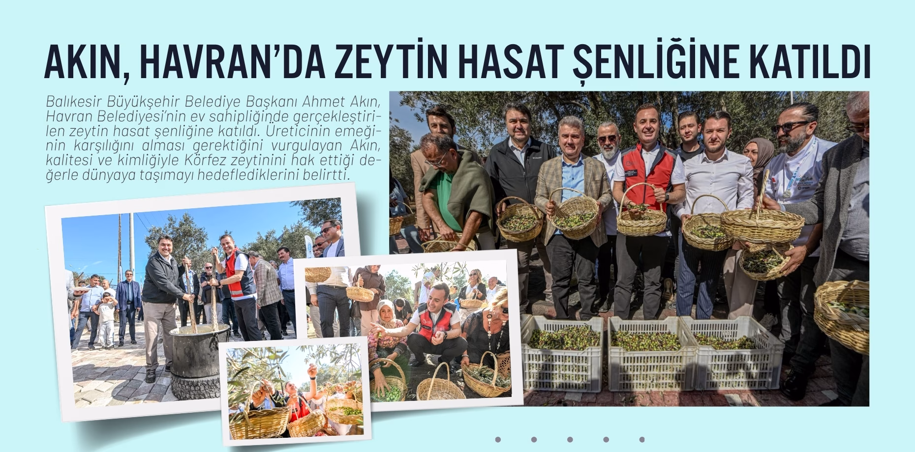 havran zeytin hasat şenliği (1)