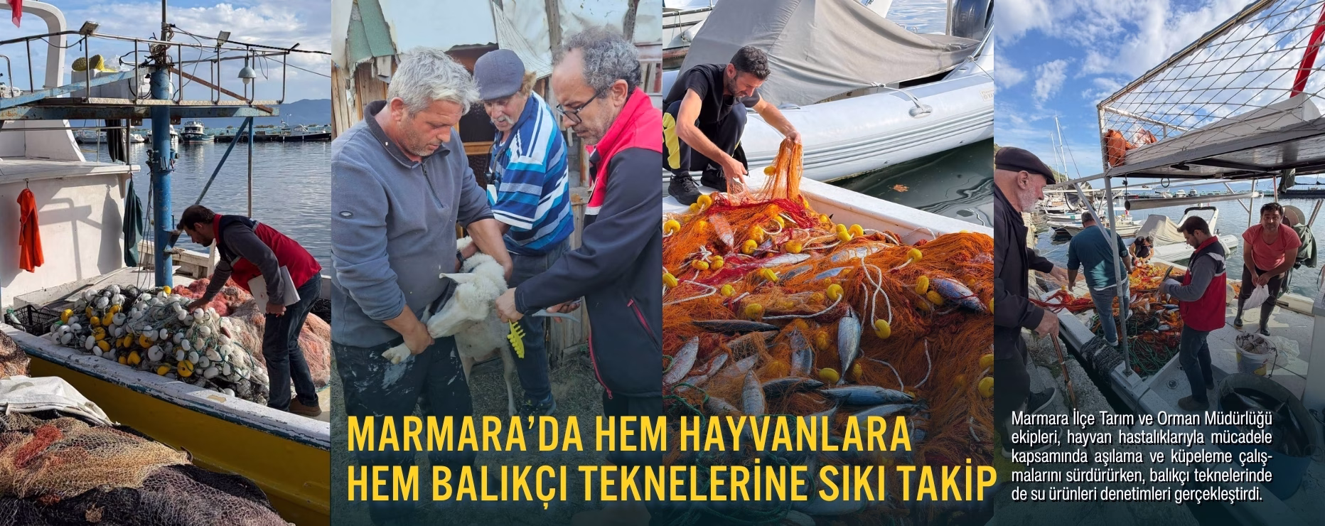 MARMARA’DA HEM HAYVANLARA HEM BALIKÇI TEKNELERİNE SIKI TAKİP   