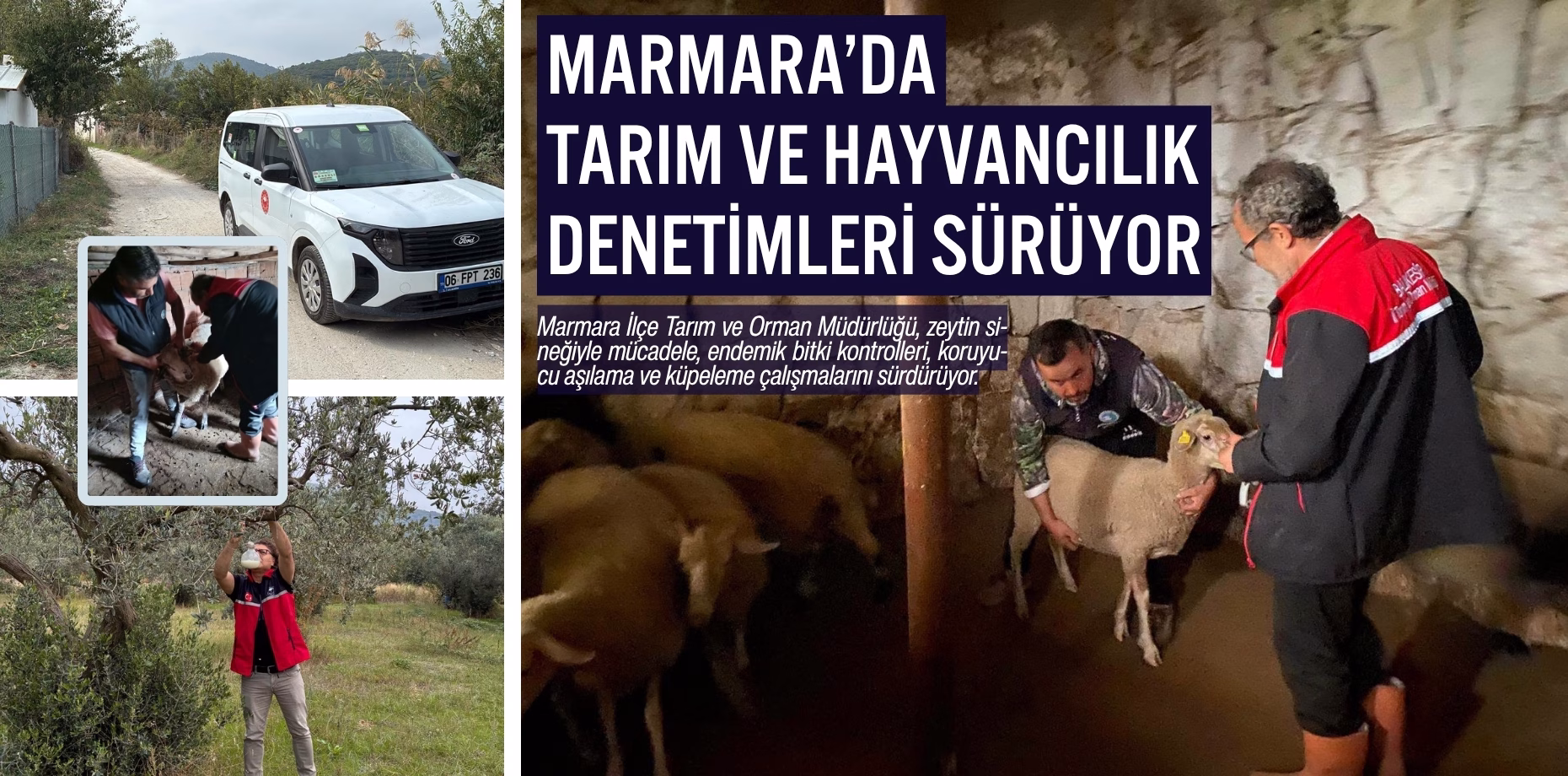 marmara tarım hayvancılık (1)