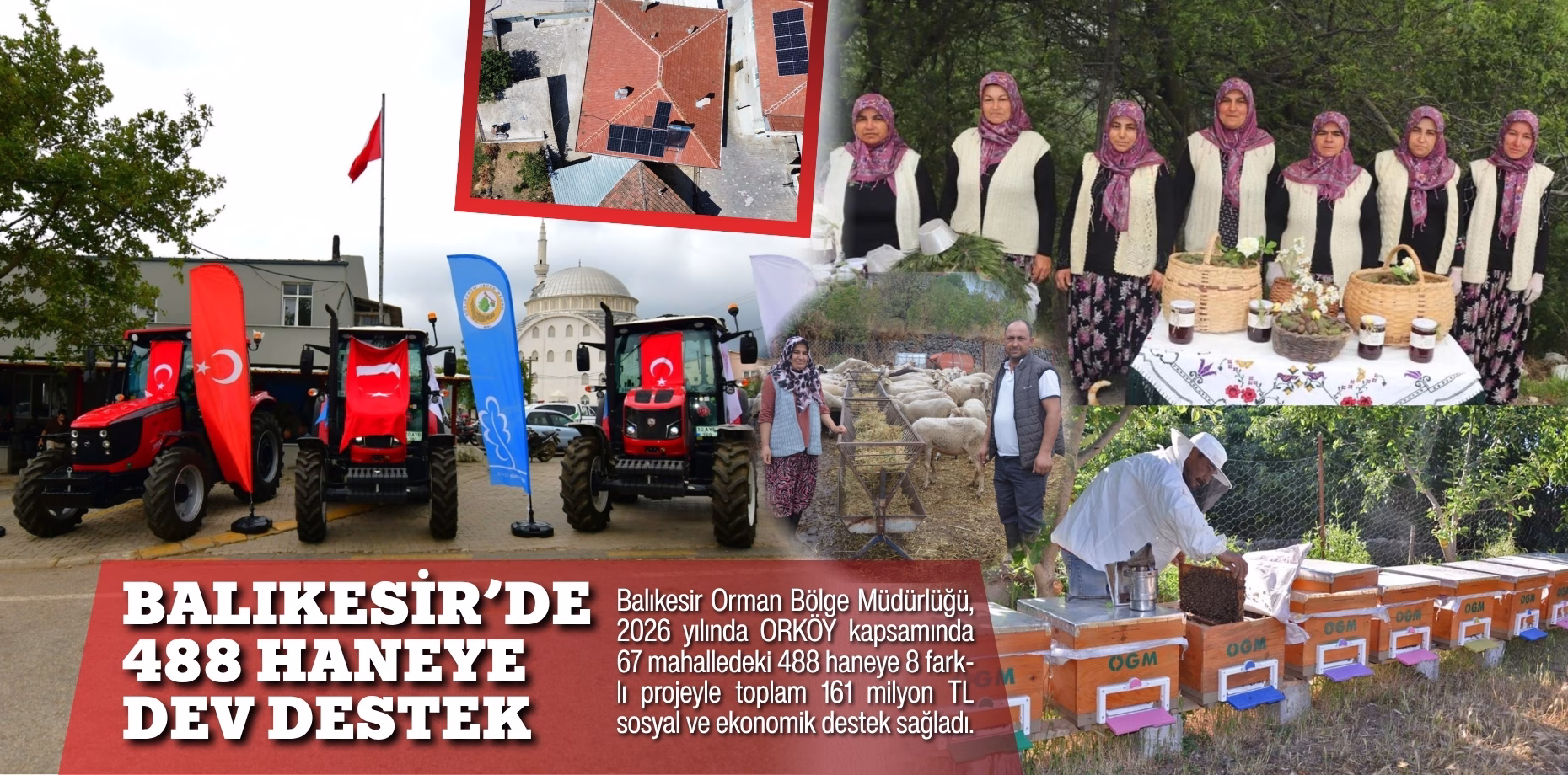 orman bölge destek (1)